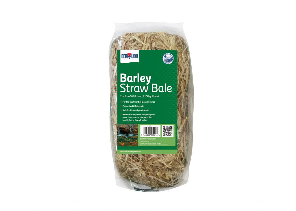 Bermuda Barley Straw