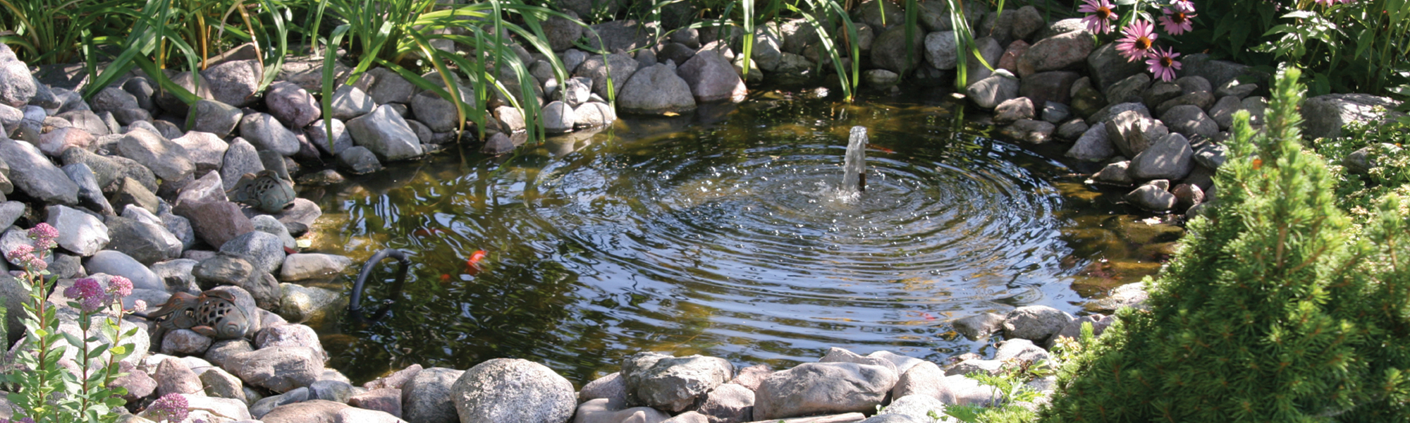 Blanket weed discount treatment for ponds