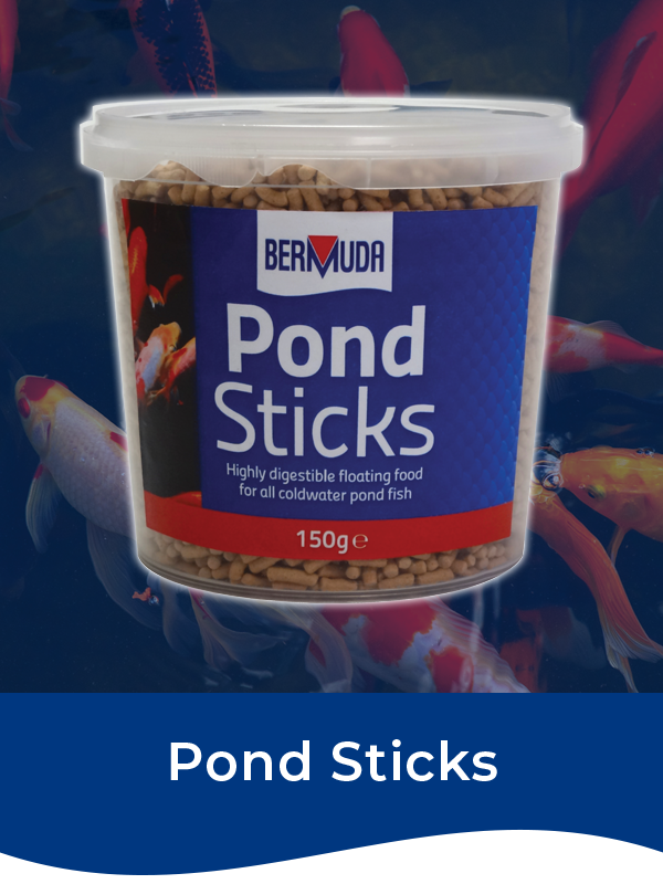 Bermuda Pond Sticks