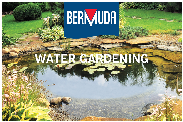Bermuda Water Gardens