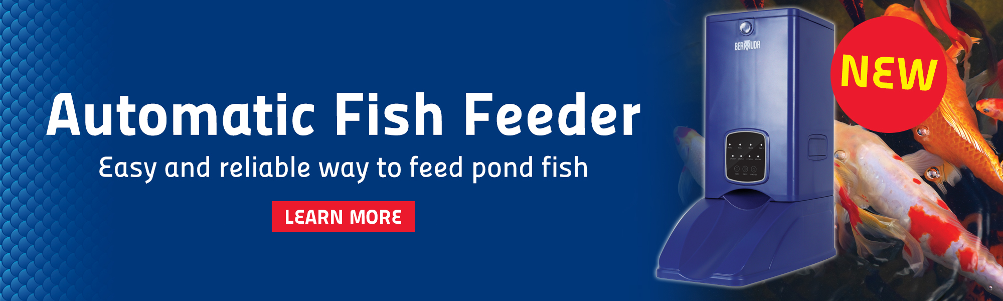 Auto Fish Feeders