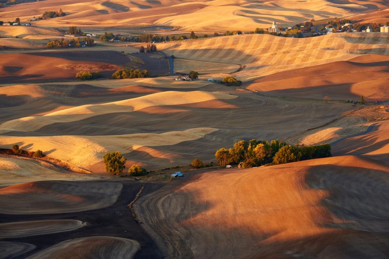 View,Of,The,Farmland,In,The,Palouse,Hills,Region,Near