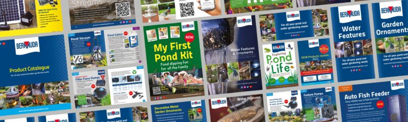 Bermuda Media Header Graphic scaled