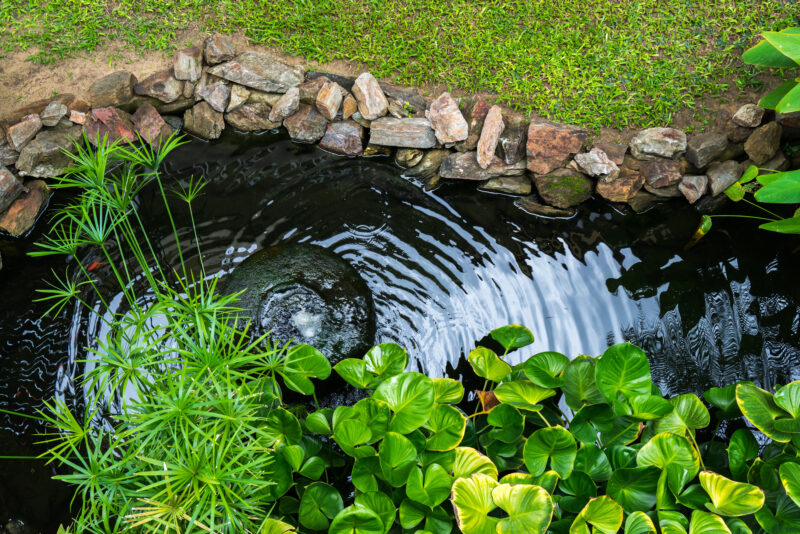 Decorative,Pond,With,Fountain,And,Gold,Fish,In,Garden