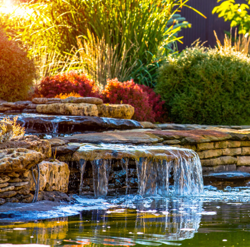 beautiful landscaping with beautiful plants