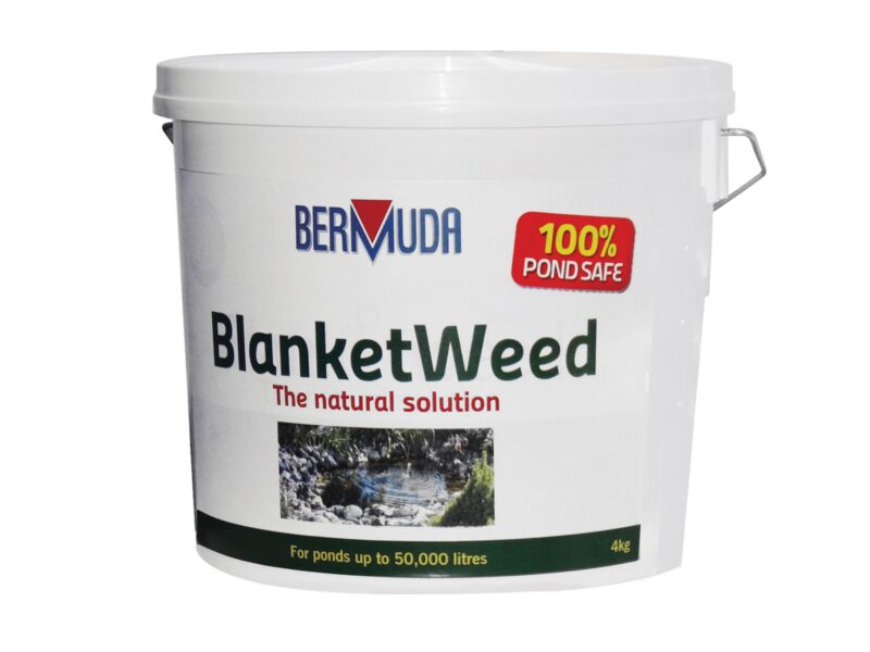 Blanket Weed