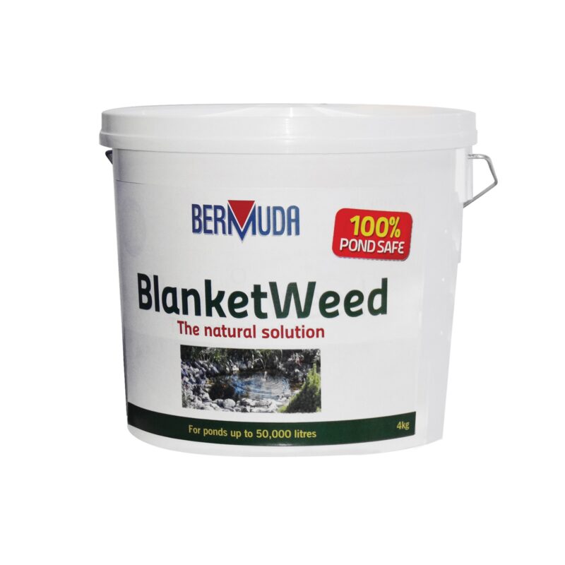Blanket Weed