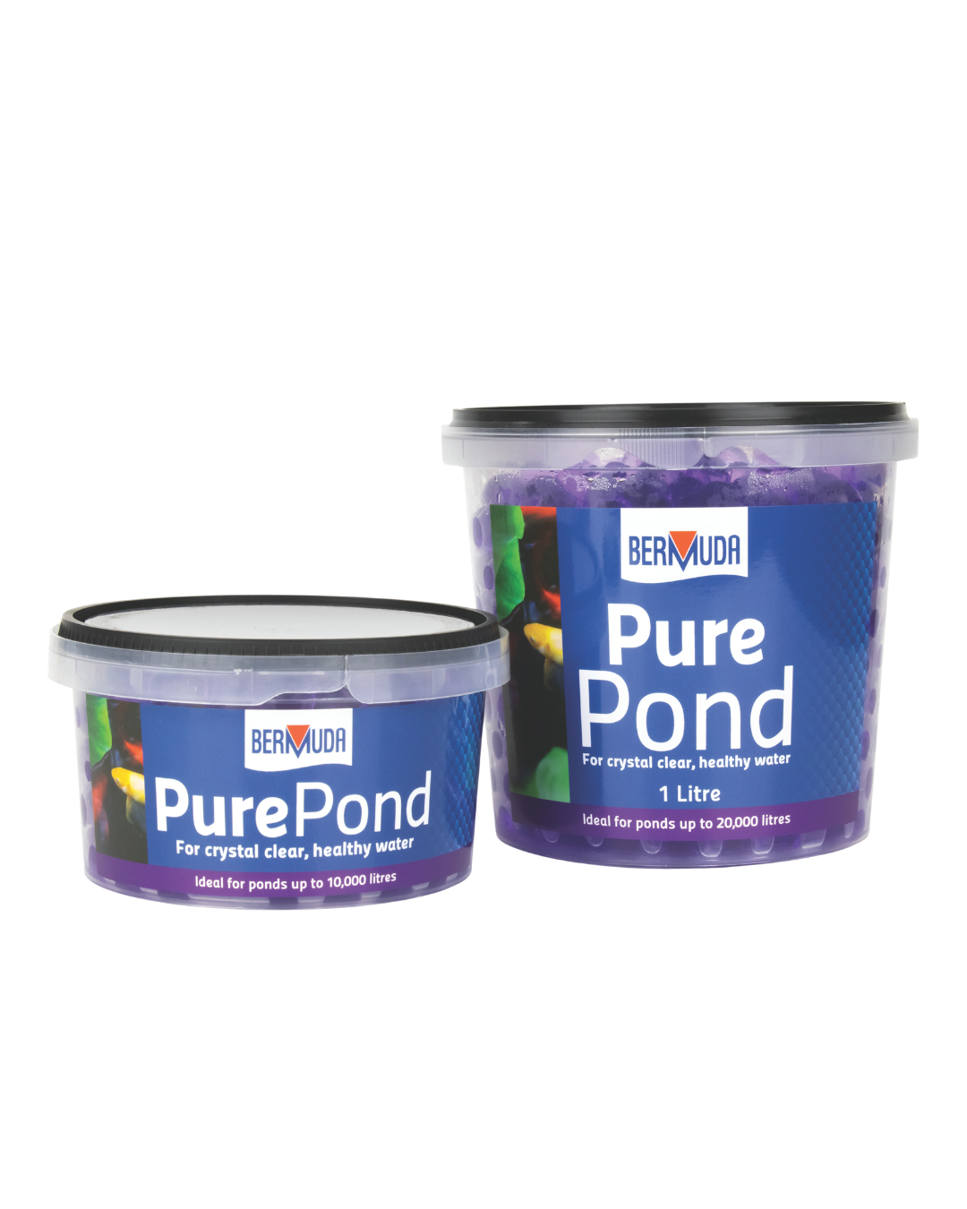 pure pond