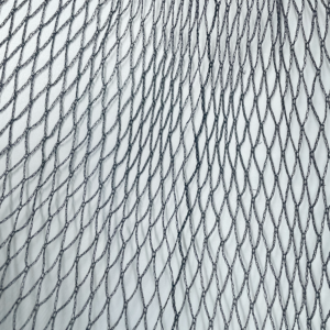 Pond Net