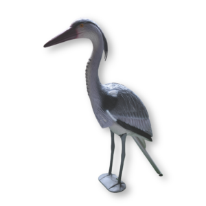 Heron