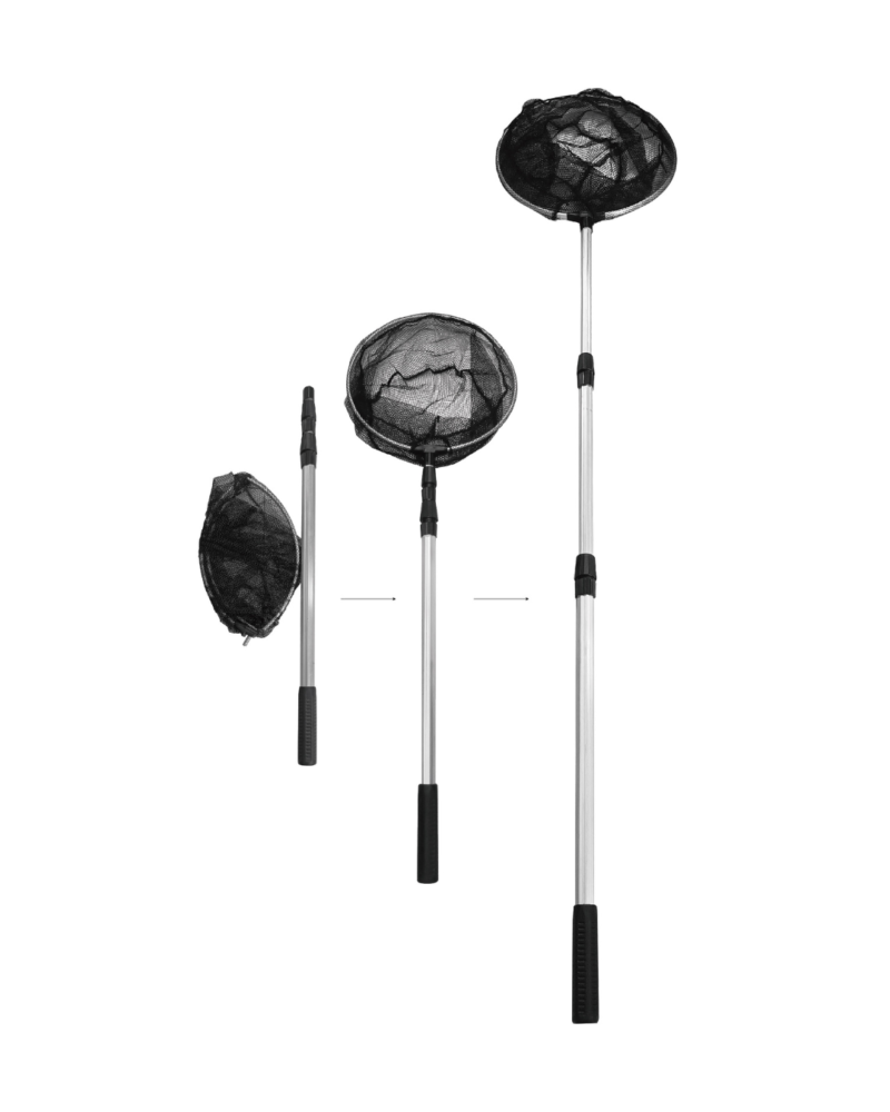 Untitled design (16)